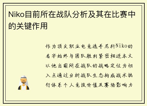 Niko目前所在战队分析及其在比赛中的关键作用